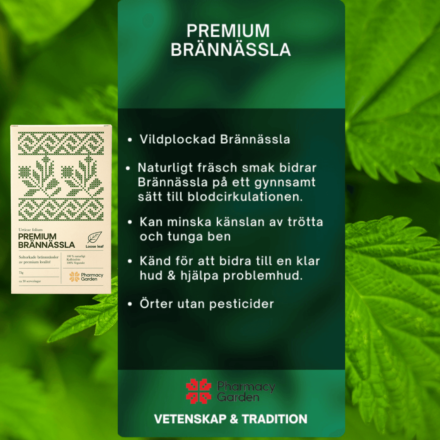 Premium Stinging Nettle - Herbal infusion