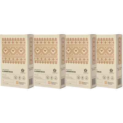 4-pack Mind Infusion - Hjärnfokus