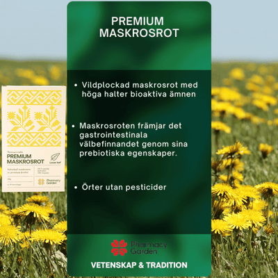 Premium Dandelion Root - Herbal Infusion