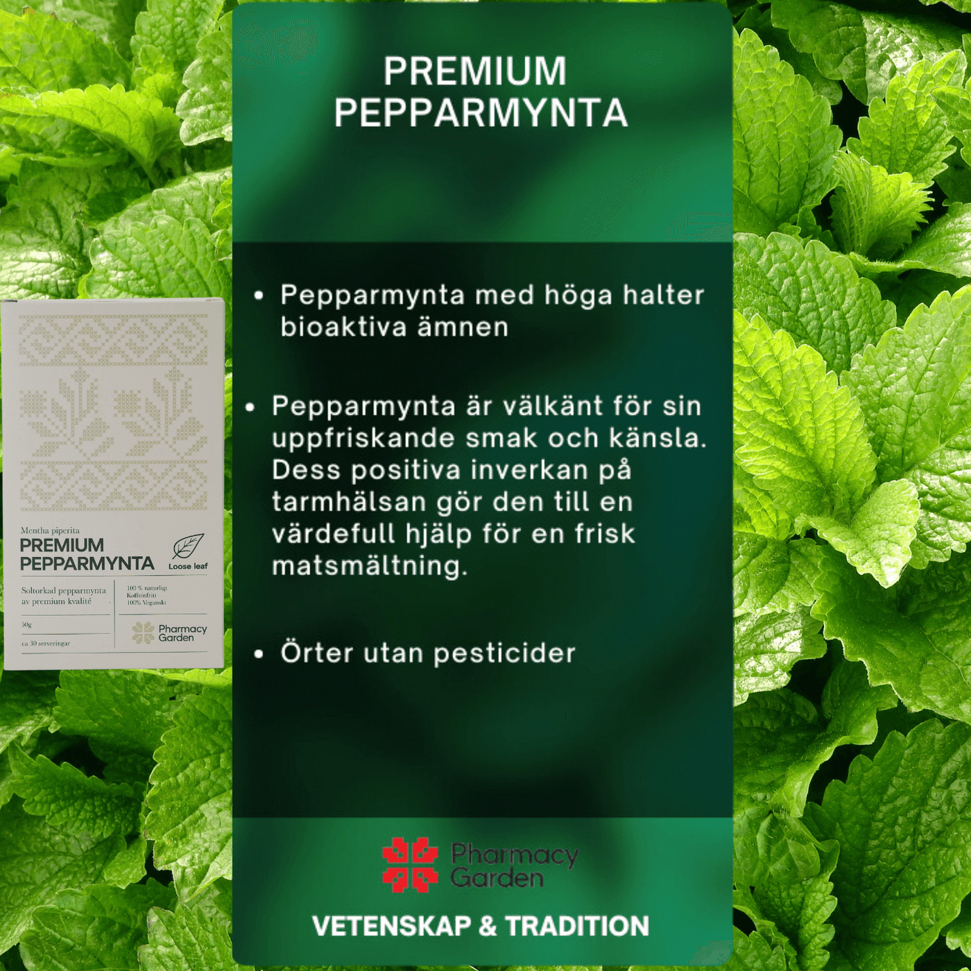 Premium Pepparmynta - Örtinfusion