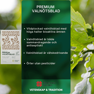 Premium Walnut Leaf - Herbal Infusion